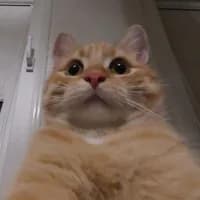 CoolScriptsForRoblox