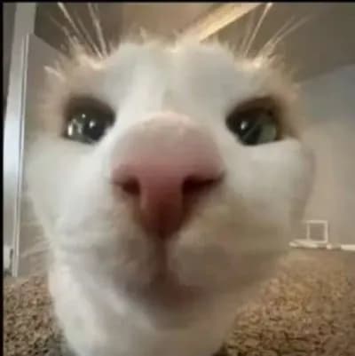 BetterRefresh Inf Yeild plugin