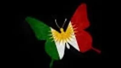 Kurdish {Kurd Hub}