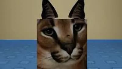 Piano AUTOPLAYER no KEY