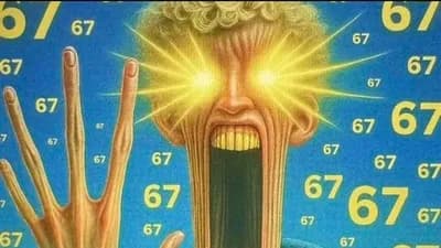 Uni hub Autoplayer script Solara Support