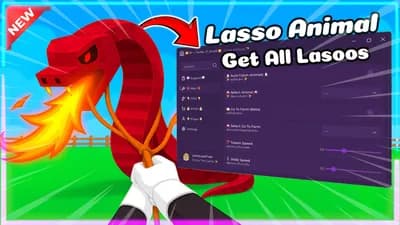 Get All Lassos