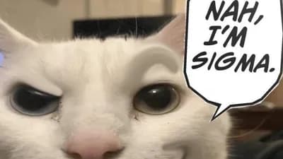 Create free private server