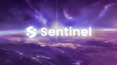 Sentinel Best Rivals Script