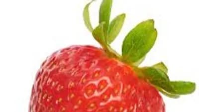 Touchfling script only works on hitbox games