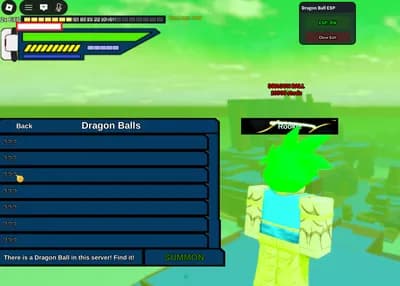 Dragon Generations Dragon Balls ESP