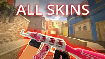 Funswapper Skin Changer