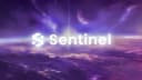 Sentinel BEST SCRIPT skinchanger