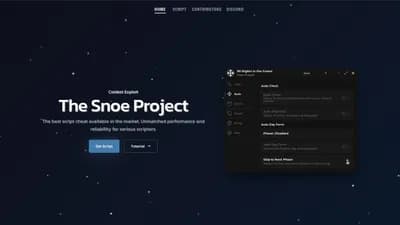 The Snoe Project