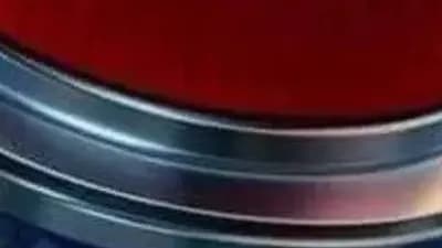 Fling things and people nerhub 