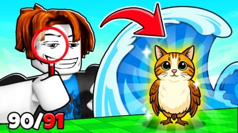 collect all brainrots