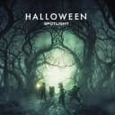 Halloween Spotlight Spider HUB